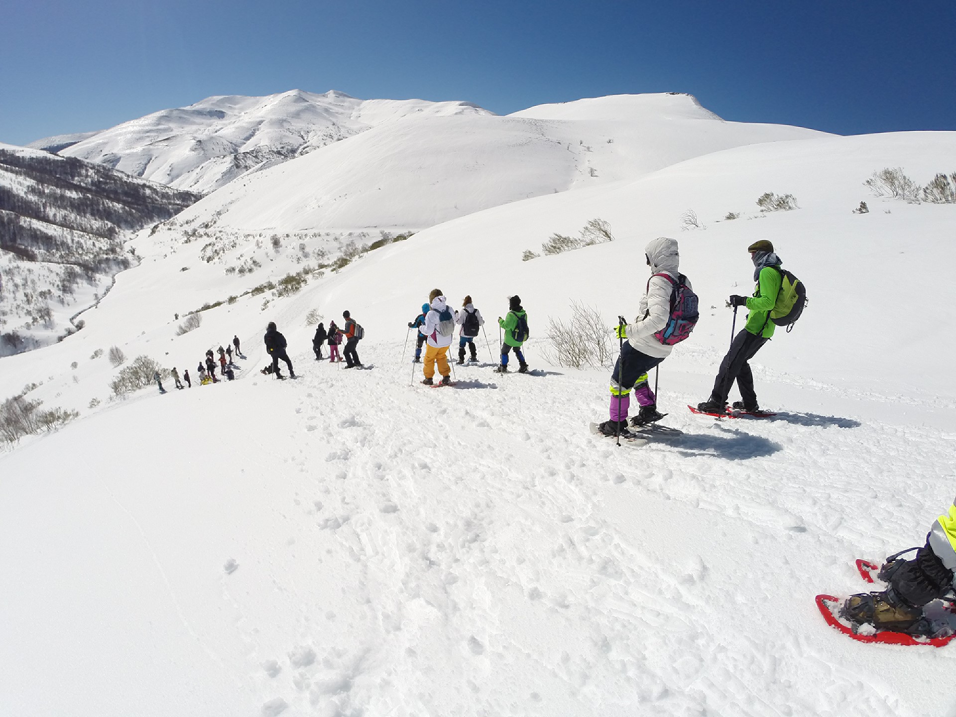 Imagen de Raquetas de Nieve
